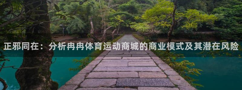 米兰体育官方正版app神州:正邪同在:分析冉冉体育运动商城的