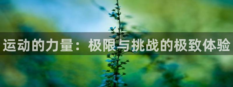 米兰体育官方正版app娱乐代理怎么样:运动的力量:极限与挑战