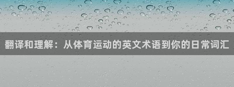 米兰体育官方正版app娱乐40996:翻译和理解:从体育运动