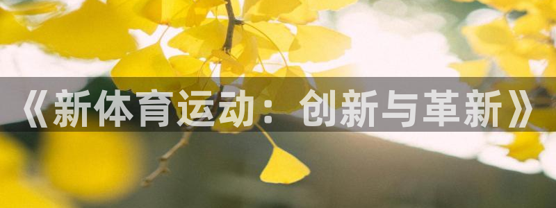 米兰体育官方正版app娱乐下载:《新体育运动:创新与革新》