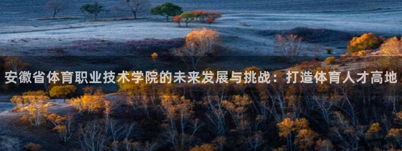 注册米兰体育官方正版app:安徽省体育职业技术学院的未来发展
