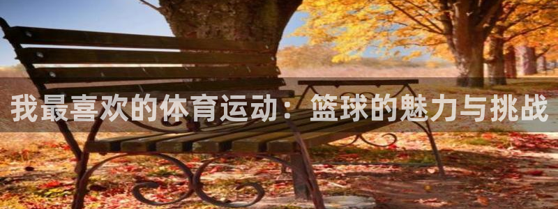 海南米兰体育官网下载:我最喜欢的体育运动:篮球的魅力与挑战